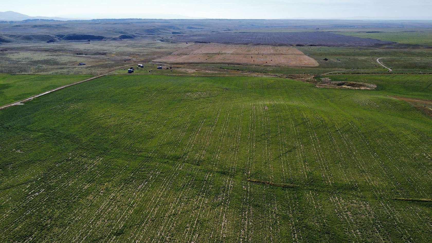 20 Acres of Land for Sale in Denton, Montana