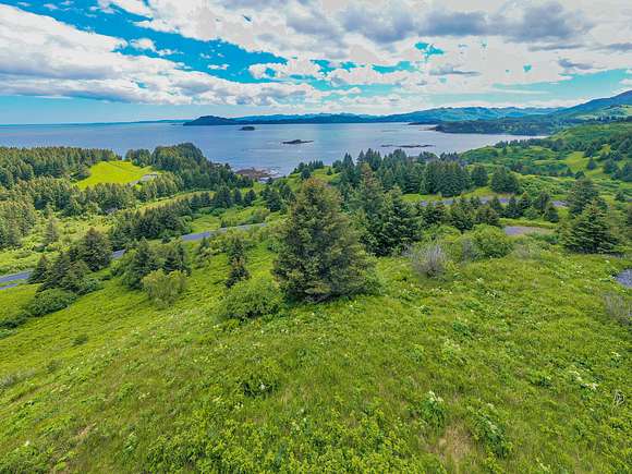 2.5 Acres of Land for Sale in Kodiak Island, Alaska