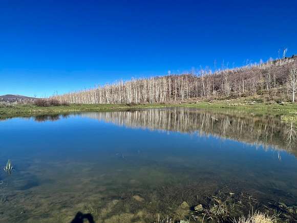320 Acres of Recreational Land for Sale in Dolores, Colorado