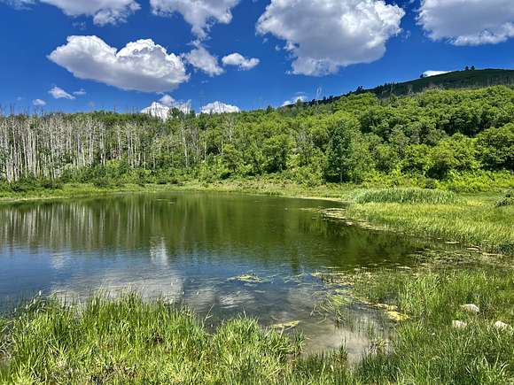 320 Acres of Recreational Land for Sale in Dolores, Colorado