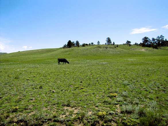 5 Acres of Land for Sale in Hartsel, Colorado
