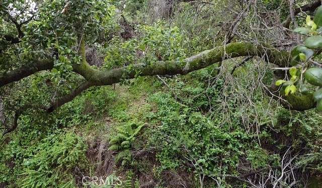 0.19 Acres of Land for Sale in Topanga, California