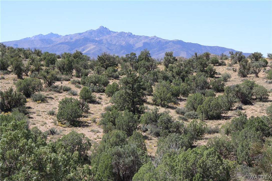 37.5 Acres of Agricultural Land for Sale in Kingman, Arizona