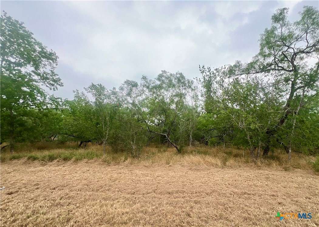 1 Acre of Residential Land for Sale in Smiley, Texas