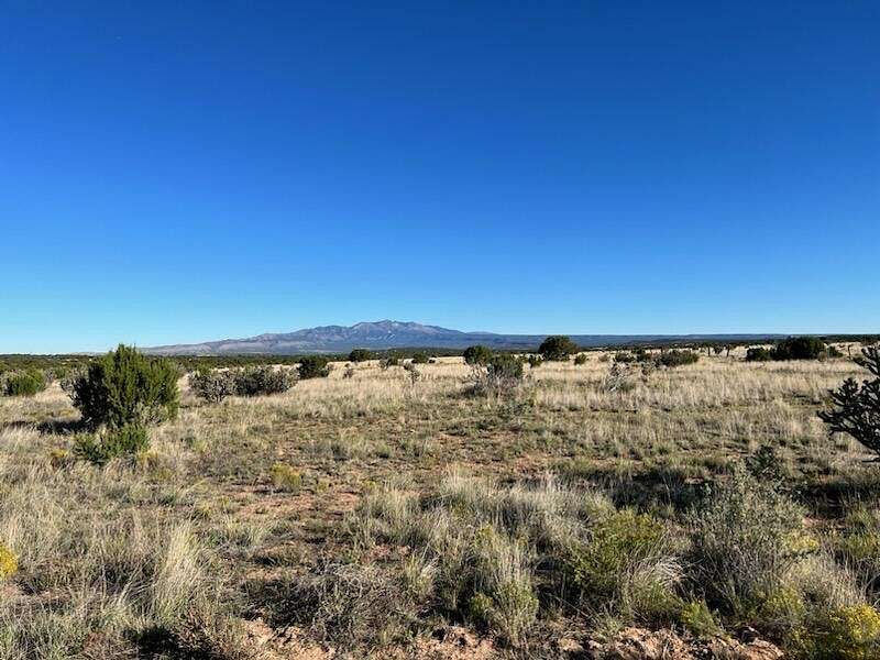 210 Acres of Agricultural Land for Sale in Mountainair, New Mexico