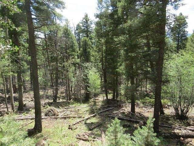 0.77 Acres of Residential Land for Sale in Angel Fire, New Mexico