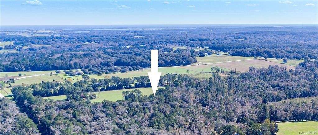 41.3 Acres of Agricultural Land for Sale in Brooksville, Florida