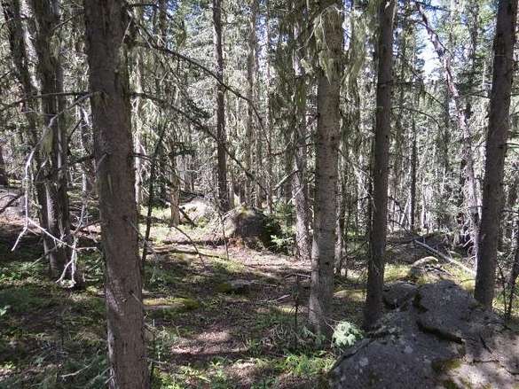 0.75 Acres of Residential Land for Sale in Angel Fire, New Mexico