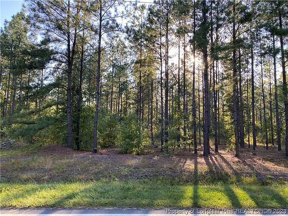 60.1 Acres of Agricultural Land for Sale in Fayetteville, North Carolina