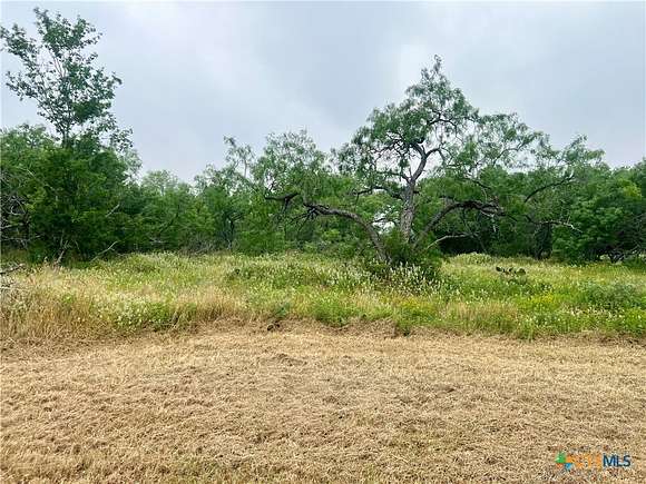 1 Acre of Residential Land for Sale in Smiley, Texas