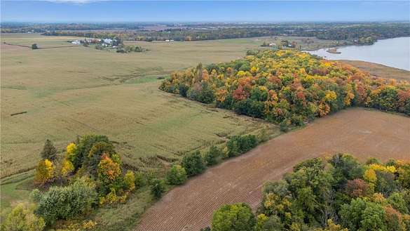 41.97 Acres of Recreational Land & Farm for Sale in Braham, Minnesota