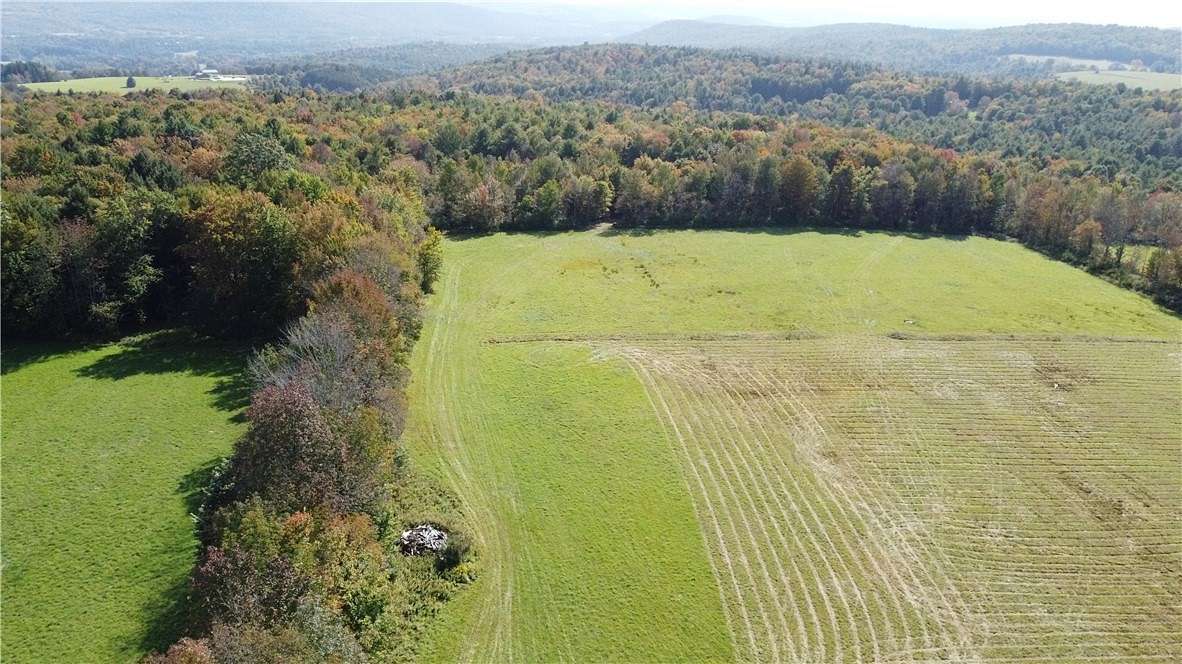 101 Acres of Recreational Land & Farm for Sale in Unadilla, New York