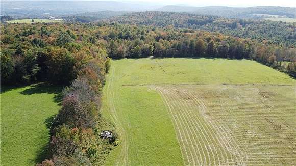 100.61 Acres of Recreational Land & Farm for Sale in Unadilla, New York