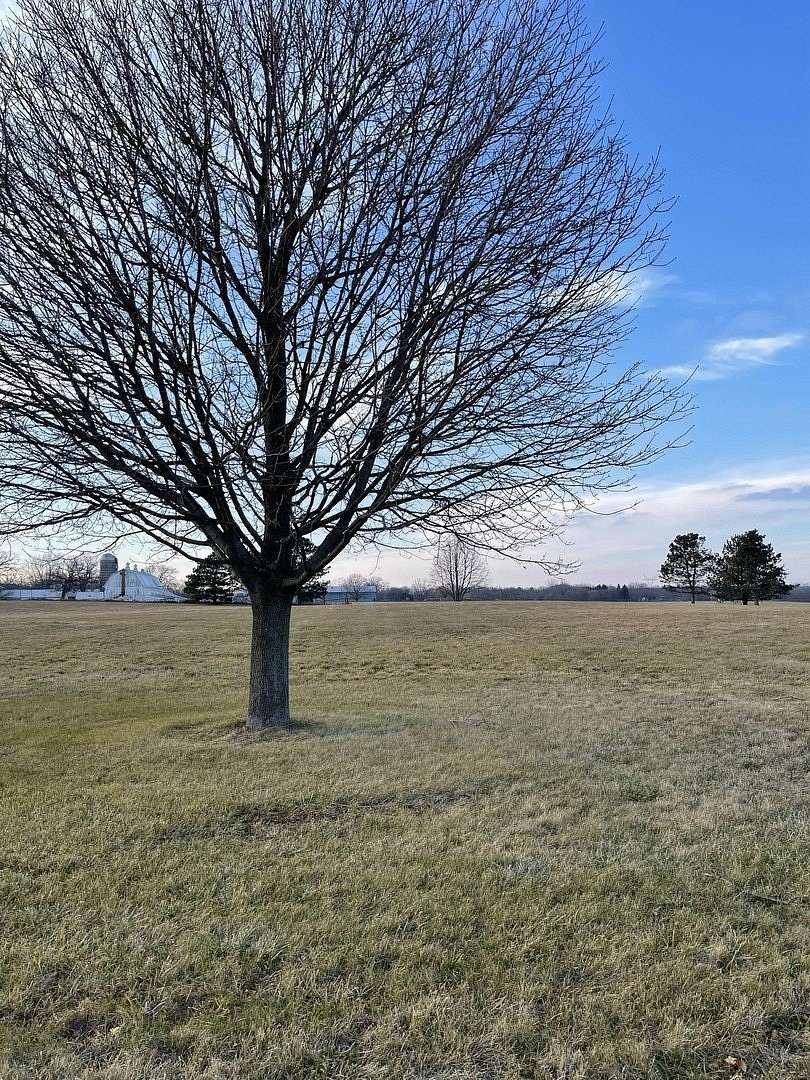 1.46 Acres of Residential Land for Sale in Union, Illinois