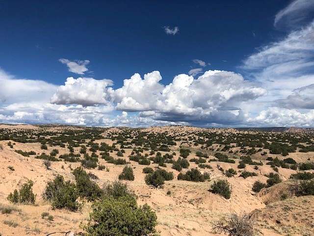 40 Acres of Land for Sale in Medanales, New Mexico