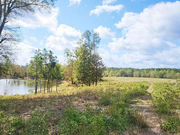 Residential Land for Sale in Taylorsville, Mississippi