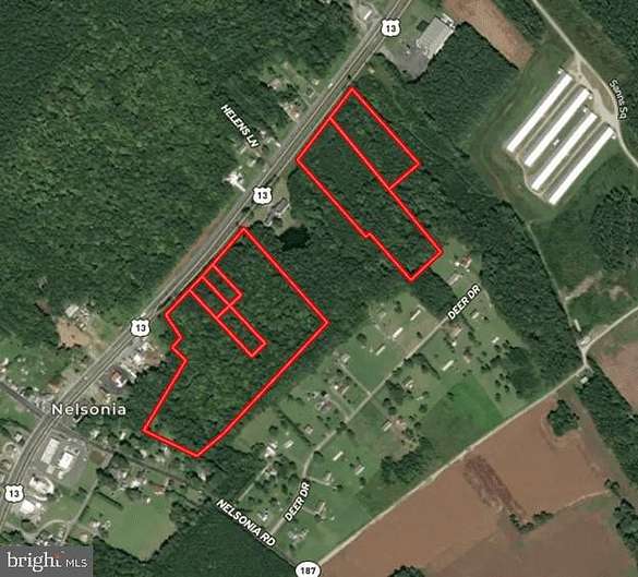 25.2 Acres of Land for Sale in Bloxom, Virginia