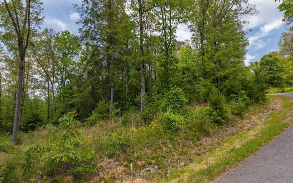 0.34 Acres of Residential Land for Sale in Mineral Bluff, Georgia