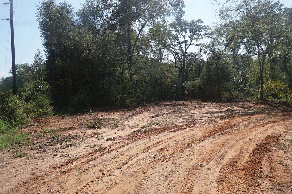 25.8 Acres of Recreational Land for Sale in Palestine, Texas