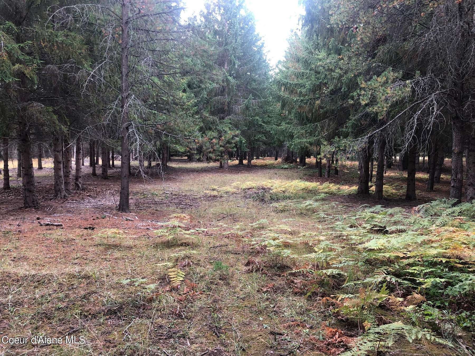 5 Acres of Land for Sale in Naples, Idaho