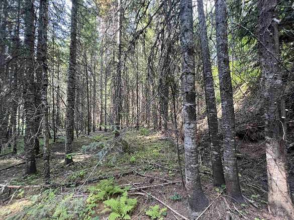 0.43 Acres of Residential Land for Sale in Elk River, Idaho