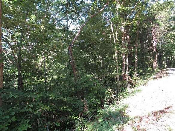 0.4 Acres of Residential Land for Sale in Celina, Tennessee