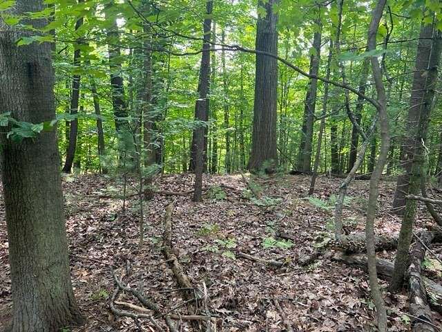 1.8 Acres of Residential Land for Sale in Whitehall, Michigan