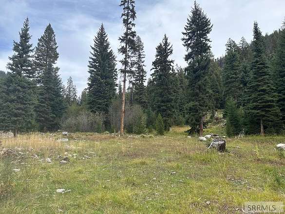 7.7 Acres of Residential Land for Sale in Gibbonsville, Idaho