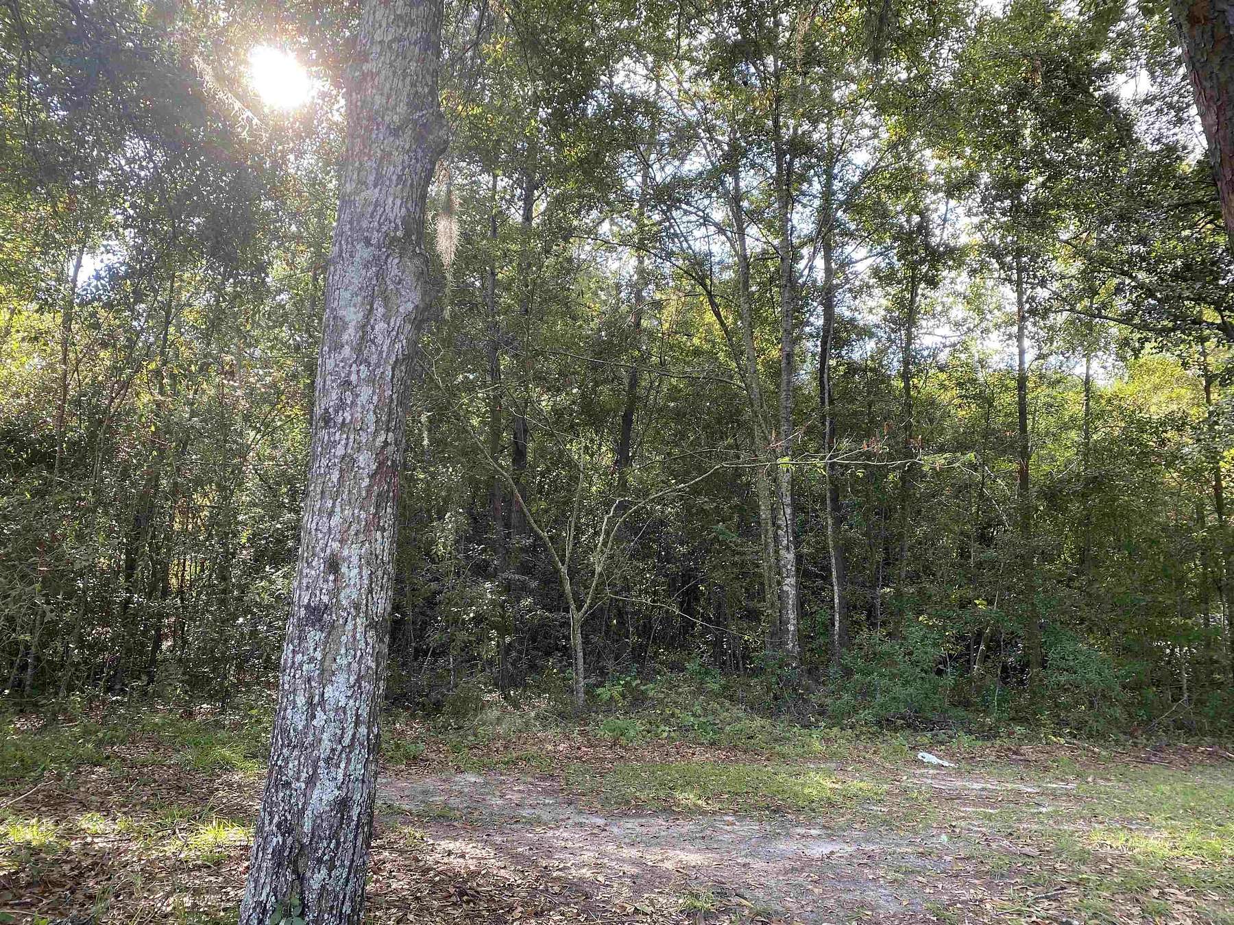 4.3 Acres of Residential Land for Sale in Tallahassee, Florida