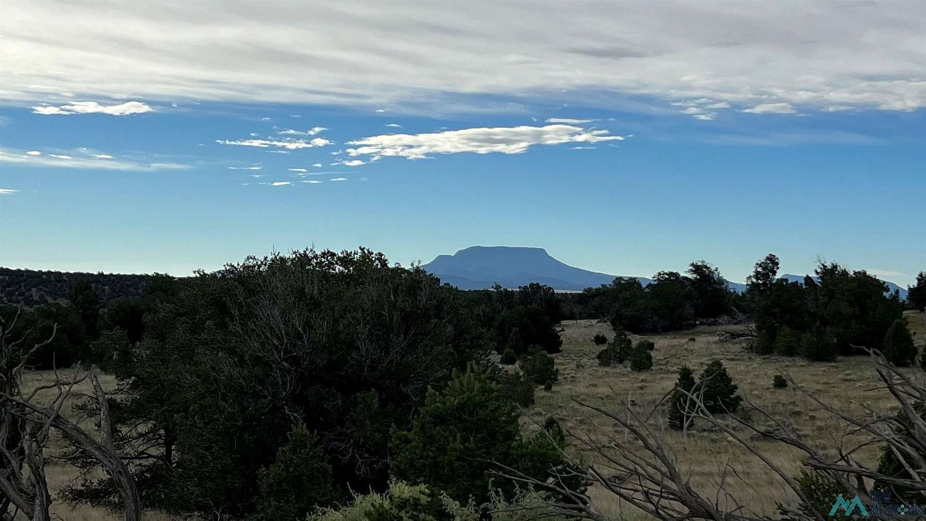 16.7 Acres of Land for Sale in Quemado, New Mexico