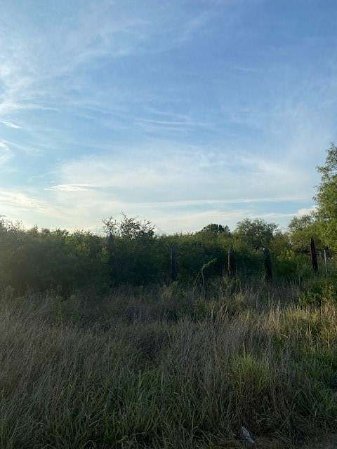 2.4 Acres of Land for Sale in Alice, Texas