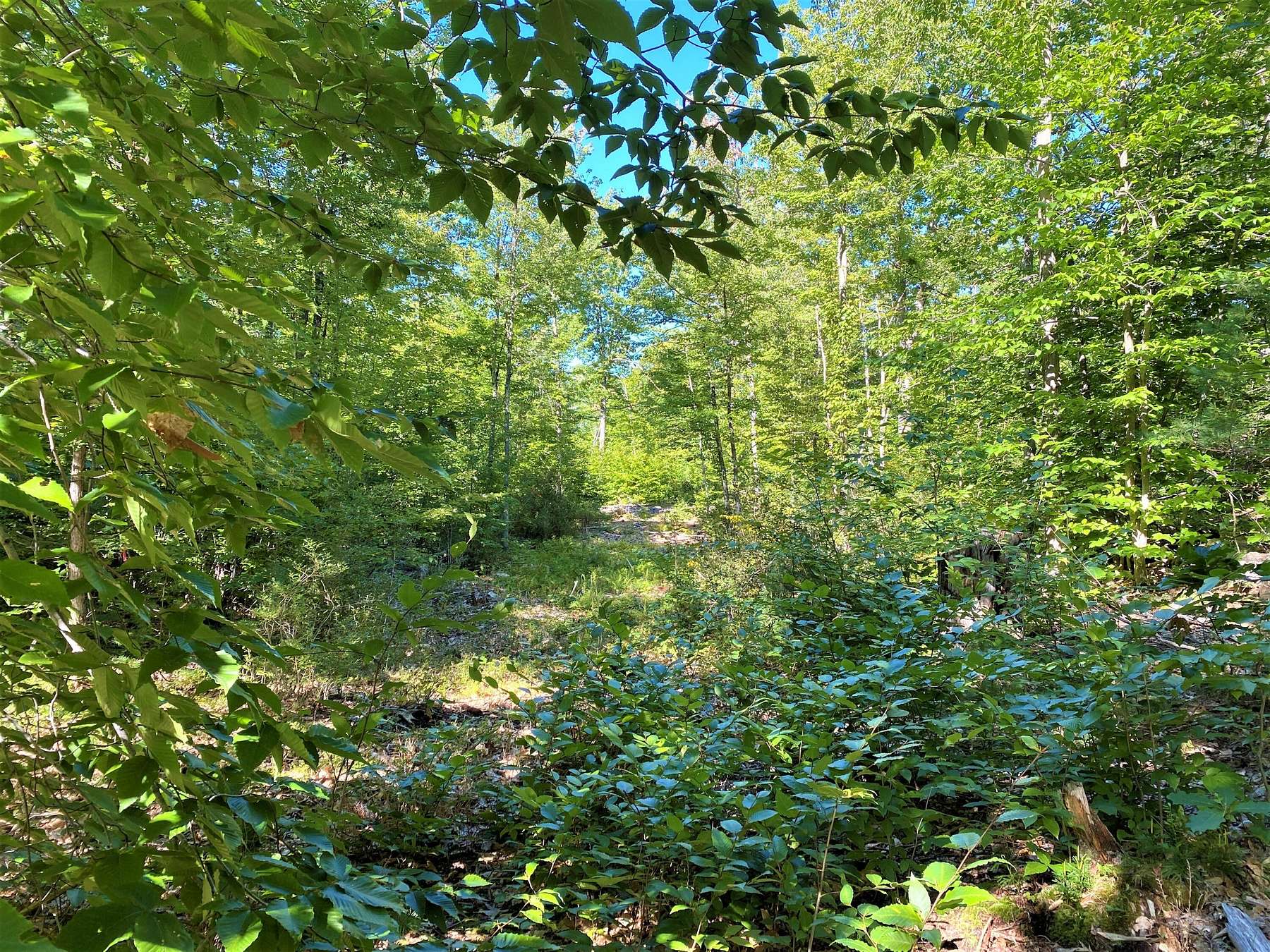5.6 Acres of Land for Sale in Newfield, Maine