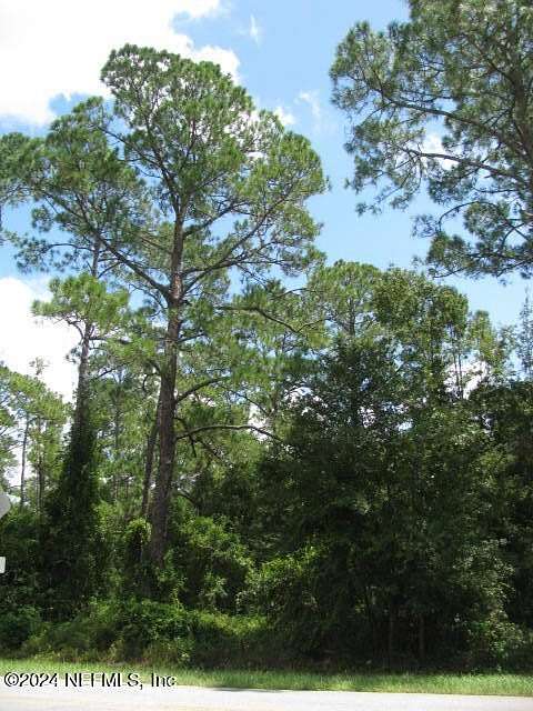 0.23 Acres of Residential Land for Sale in Georgetown, Florida