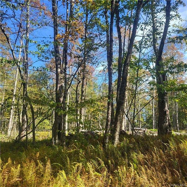 4.8 Acres of Residential Land for Sale in Liberty, New York