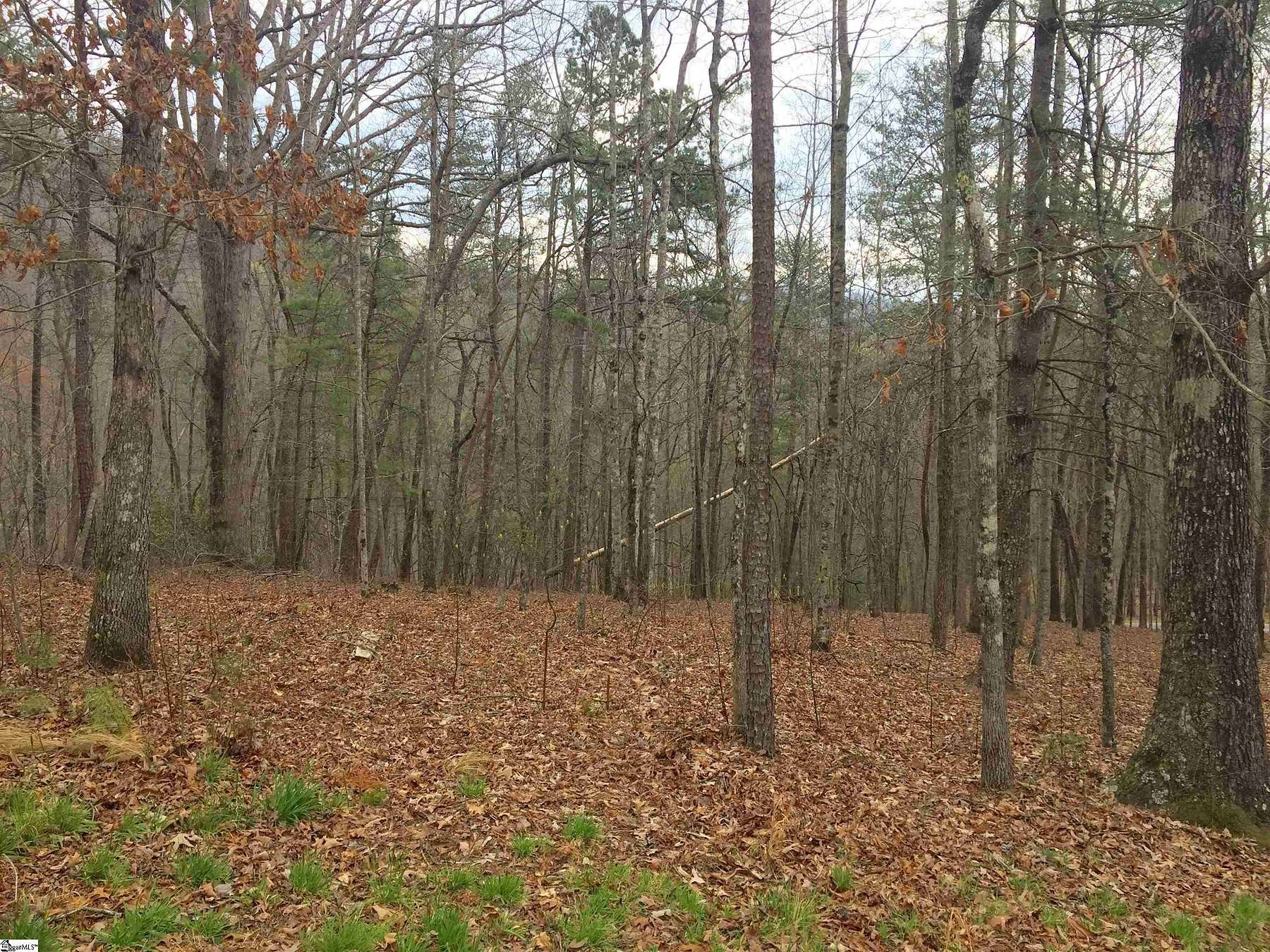 0.83 Acres of Residential Land for Sale in Travelers Rest, South Carolina