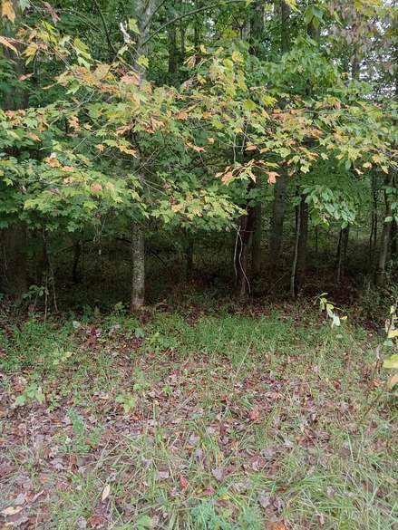 2.4 Acres of Residential Land for Sale in Clintwood, Virginia