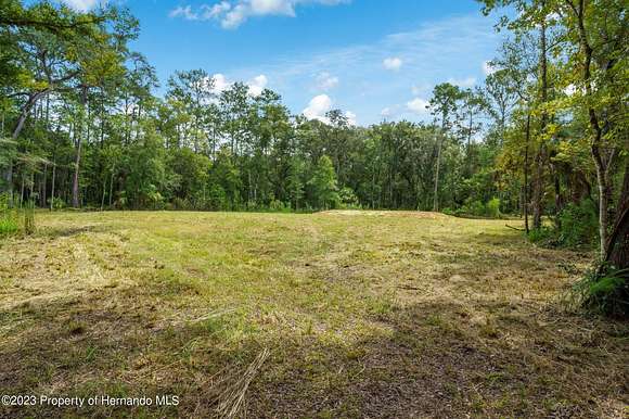 4.2 Acres of Residential Land for Sale in Brooksville, Florida