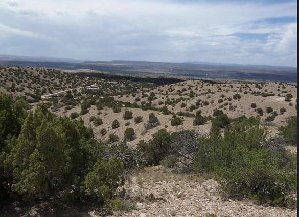 40 Acres of Land for Sale in Placitas, New Mexico