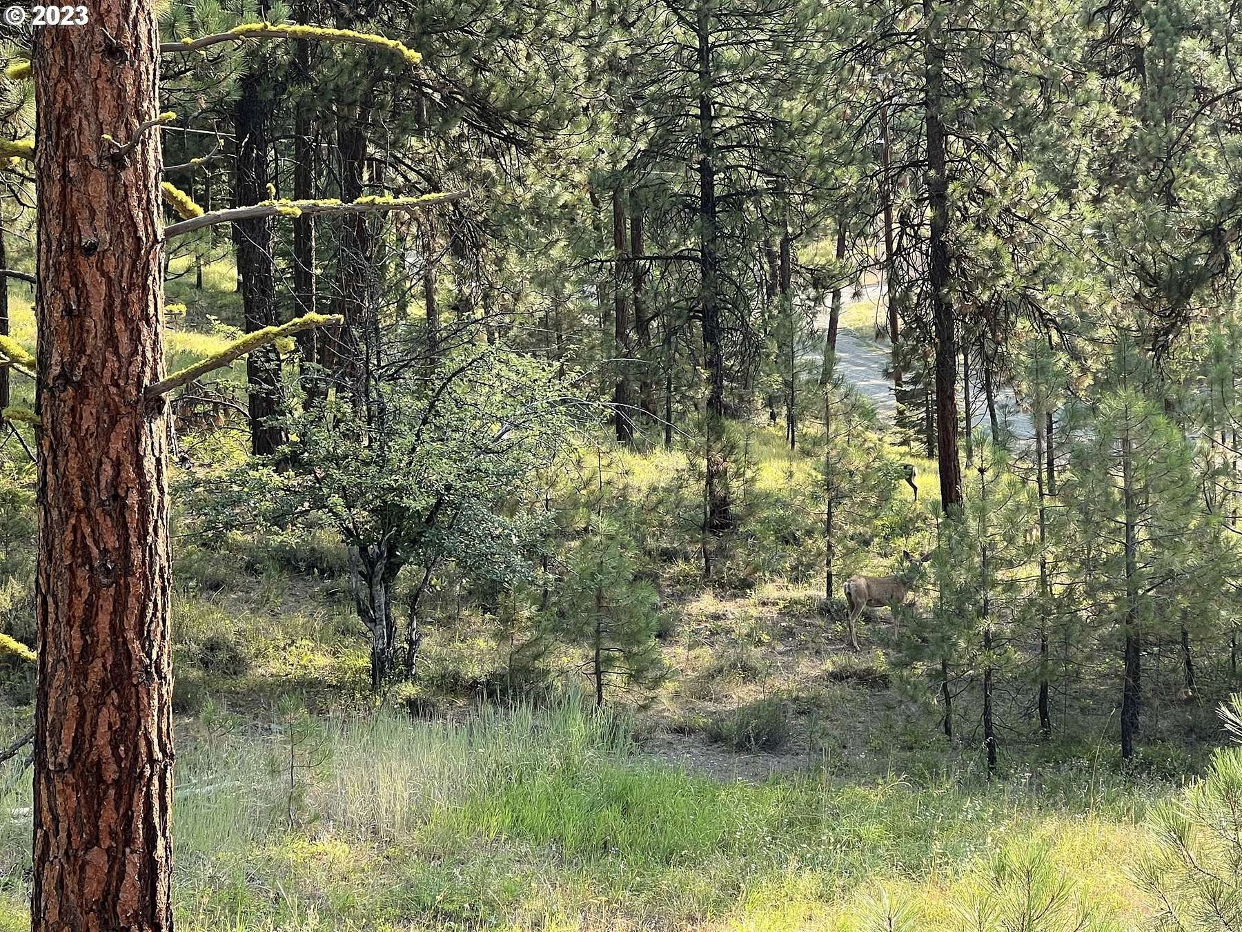 Land for Sale in Sumpter, Oregon
