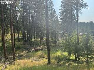 0.23 Acres of Residential Land for Sale in Sumpter, Oregon