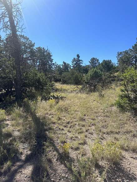 1.4 Acres of Residential Land for Sale in Datil, New Mexico
