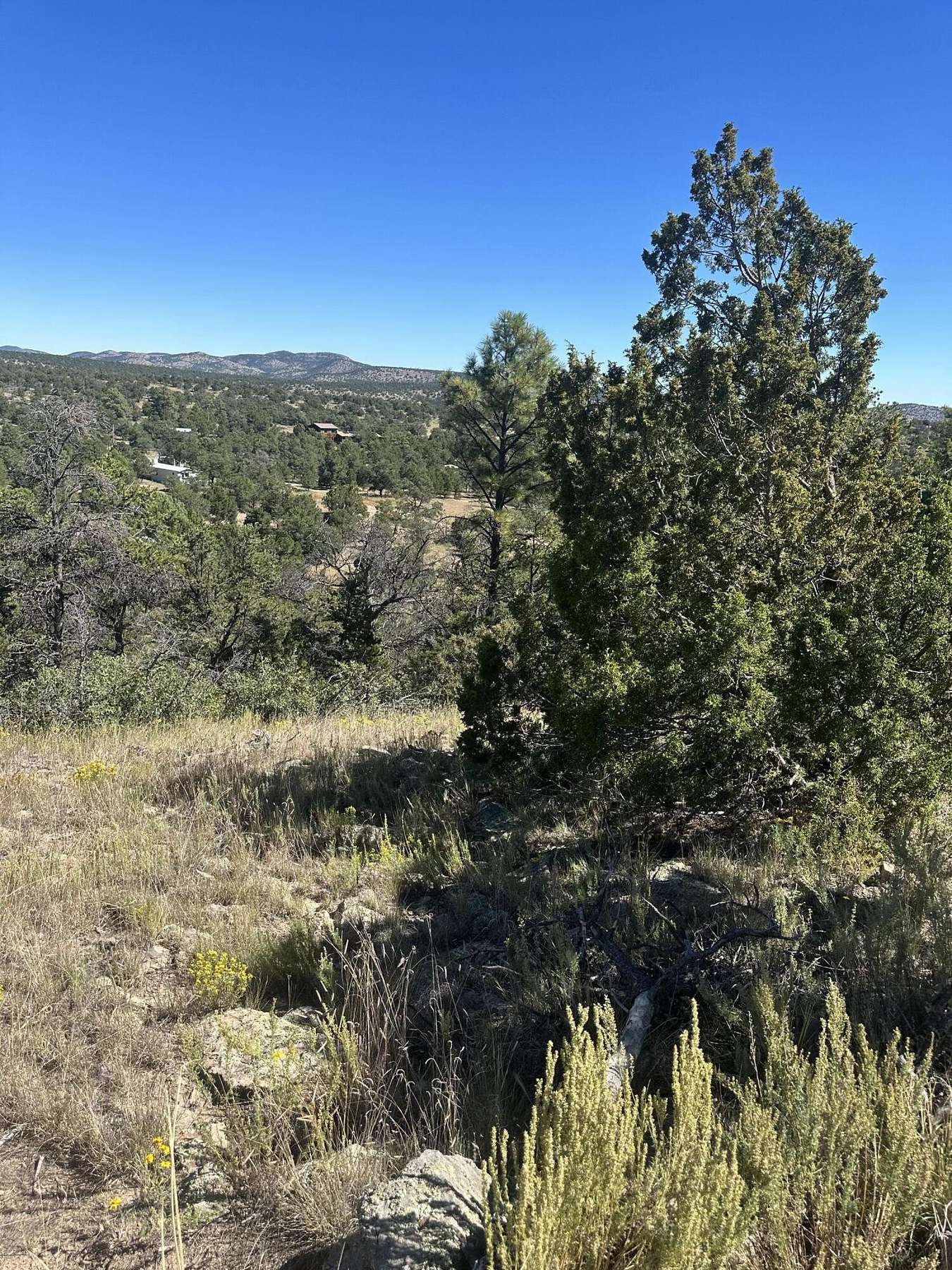 1.3 Acres of Land for Sale in Datil, New Mexico