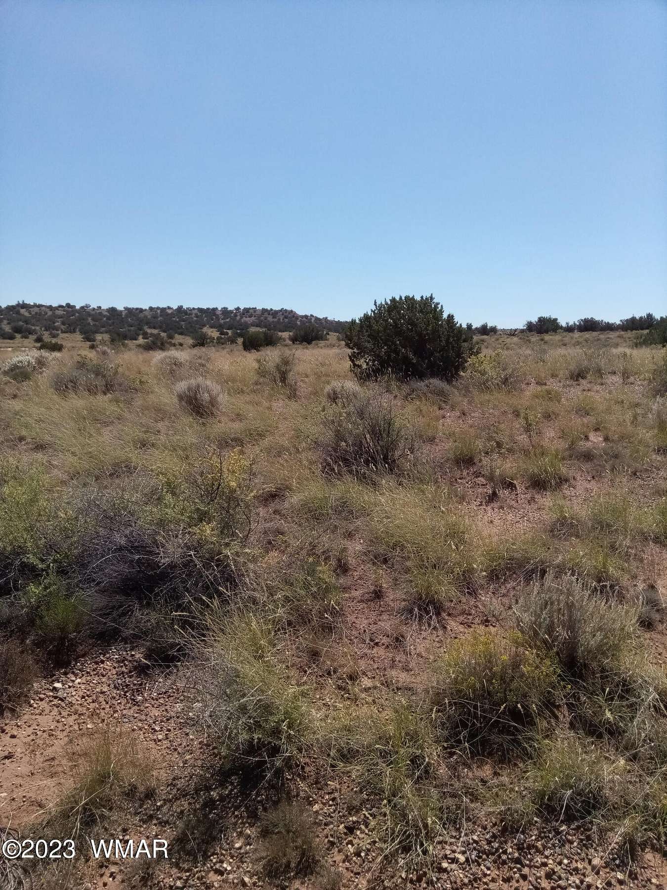 22.1 Acres of Land for Sale in Snowflake, Arizona