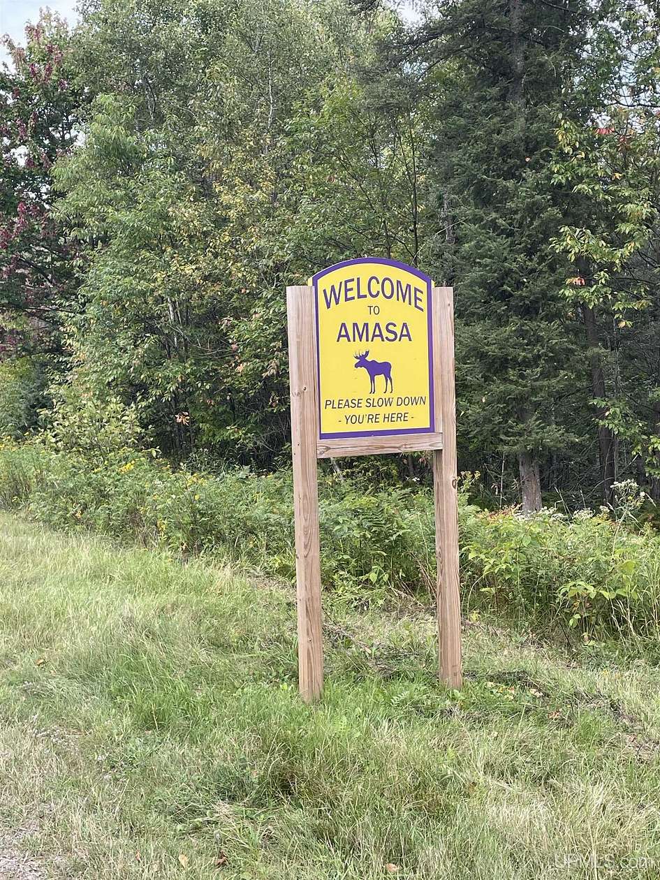 160 Acres of Recreational & Residential Land for Sale in Amasa, Michigan