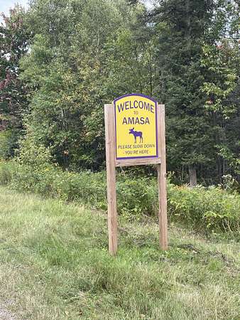 160 Acres of Recreational & Residential Land for Sale in Amasa, Michigan