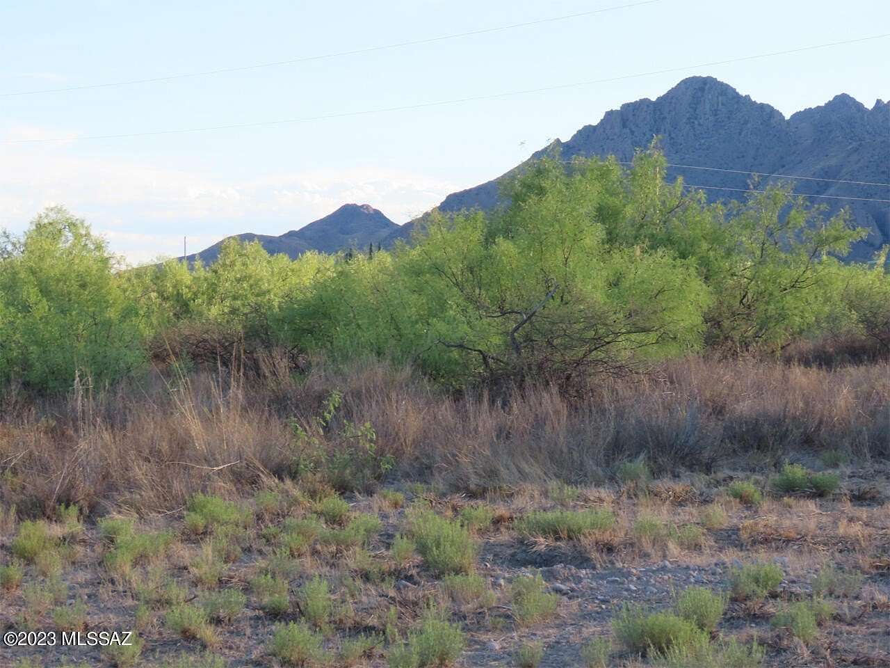 37.03 Acres of Land for Sale in Portal, Arizona