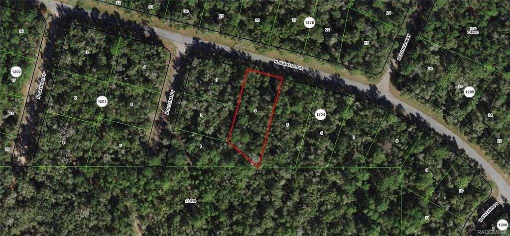 0.53 Acres of Land for Sale in Citrus Springs, Florida