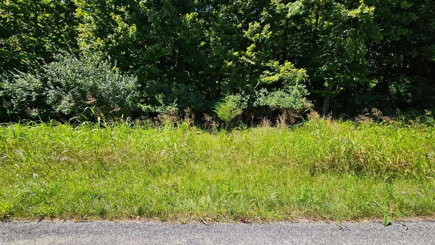 0.58 Acres of Residential Land for Sale in Aurora, Indiana