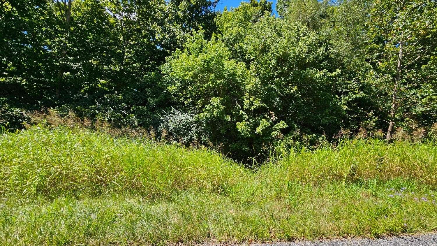 0.57 Acres of Residential Land for Sale in Aurora, Indiana