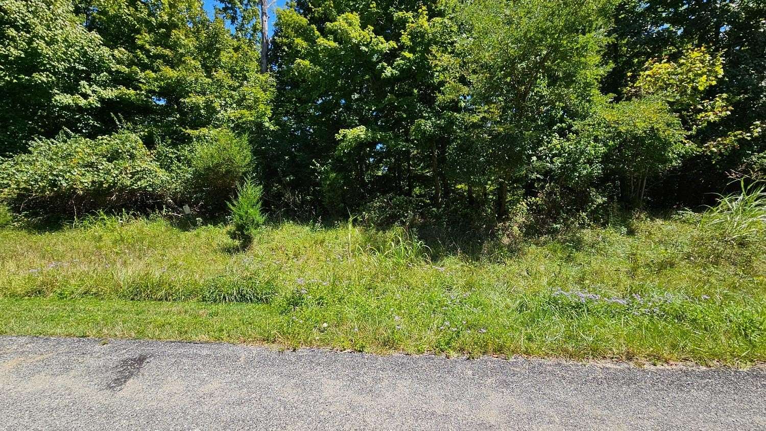 0.53 Acres of Residential Land for Sale in Aurora, Indiana